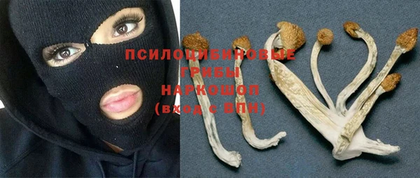 MESCALINE Балахна
