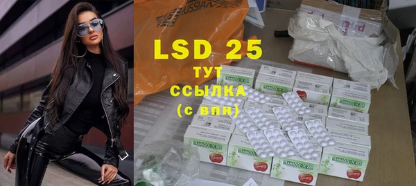 крисы Бикин